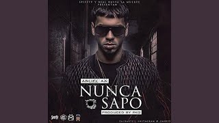 Nunca Sapo [upl. by Nodnelg]