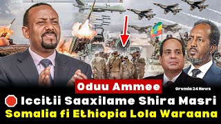 🔴 Oduu Ammee ‼️ Ethiopia fi Somalia Lola Waraanaa Meeshaa Egypt Ergite [upl. by Naivatco]