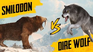 Sabertooth Tiger VS Dire Wolf  Size comparison [upl. by Remas]