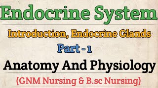 Endocrine System Anatomy and Physiology  Anatomy and Physiology For Nursing Student [upl. by Tessil521]