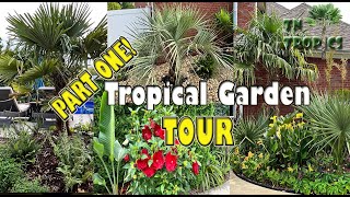 Tropical Garden Tour Part 1 [upl. by Godart741]