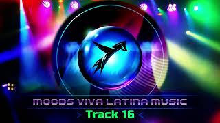 Viva LatinaTrack 16 The Best Latin Electronic Rhythms [upl. by Elleoj]