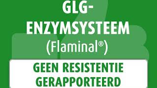 DUT  Flaminal®  Antibiotic Resistance Awareness [upl. by Llieno]