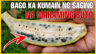 BAGO KA KUMAIN NG SAGING NA MARAMING BUTO  SEEDED BANANA BENEFITS  Bhes tv [upl. by Eseerahs]