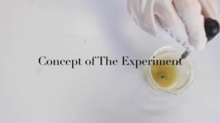 EXPERIMENT 95  TO STUDY THE CONCENTRATION OF VITAMIN C IN VARIOUS FRUIT JUICE [upl. by Anauj]