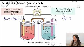 Galvanic Voltaic Cells [upl. by Balkin]