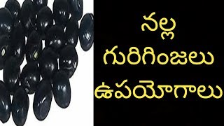 నల్ల గురిగింజ చెట్టు ఉపయోగాలు [upl. by Ludwig]