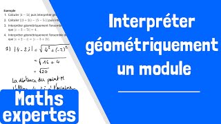 Comment interpréter géométriquement un module [upl. by Betthezel338]