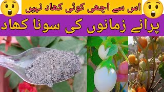 homemade potassium fertilizer for plants  using wood ash in your garden [upl. by Moguel]