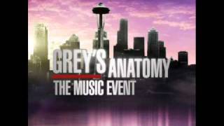 Greys Anatomy Music Event  The Story [upl. by Haman13]