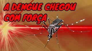 LUZ VERMELHA  A DENGUE CHEGOU [upl. by Roosevelt]