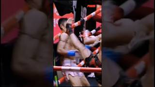 Most Powerful Muay Thai Kicks muaythai muaythaidrills kick martialarts [upl. by Gunzburg]