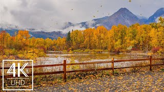 3 HOURS 4K Animated Screensaver with Relaxing Ambient Music  Fall Foliage  Part 1 [upl. by Starkey]