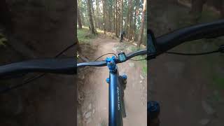 ZigZag Family Bike Park Zieleniec mtb downhill specialized mountainbike freeride flow [upl. by Elwaine]