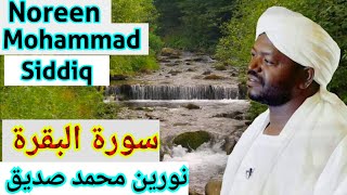 سورة البقرة نورين محمد صديق Surah Al Baqarah Sheikh Noreen muhammad siddique [upl. by Leahplar26]