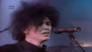 PERDÍ MI OJO DE VENADO  CAIFANES  1988 REMASTERIZADO Rock en tu Idioma [upl. by Ahtikal216]