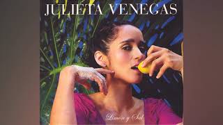 Julieta Venegas  Limón y Sal Instrumental Karaoke Original [upl. by Assenay]