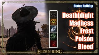 What Is Arcanes Effect On Weapon and Spell Status Effect Buildup  Elden Ring [upl. by Eednam79]