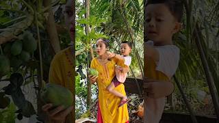 Ifraz আর Mahi papaya তুলতে গিয়ে যা দেখলো youtubeshorts funny [upl. by Kingsly]