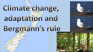 Climate change adaptation and Bergmanns rule [upl. by Atikin]