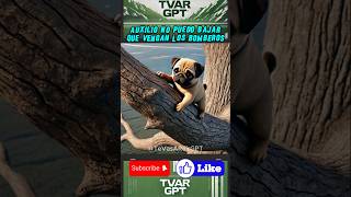 Perrito atrapado en un árbol🌳 shortsviral mismascotas babyanimal paramascotas mascotas babypet [upl. by Mines731]