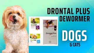 How to Deworm your Dog for Tapeworms using Drontal Plus and Best place to Purchase [upl. by Courtnay]