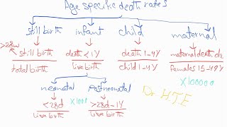 Research Revision 4 Screening morbidity amp mortality statistics [upl. by Aticnemrac589]