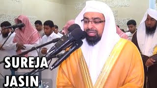 Sureja Jasin Zemra  Nasser Al Qatami [upl. by Urquhart]