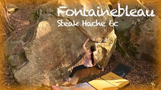 Fontainebleau Steak Hache 6c [upl. by Ennavoj]