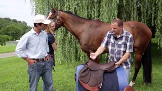 How to do a proper Saddle Fitting for you and your horse [upl. by Narcis936]