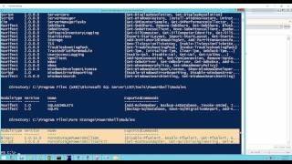 Pure Storage PowerShell SDK Demo [upl. by Ahsatin]