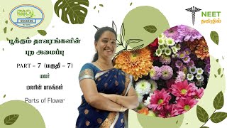 Morphology of Flowering plants  Part 7  Flower  Parts of Flower  NEET Tamil  NEET Biology [upl. by Yruj407]