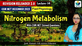 Revision Reloaded 20  Nitrogen Metabolism CSIR Dec 2023 Lecture 14  Plant Physiology [upl. by Yovonnda]