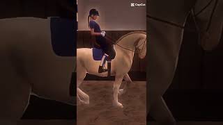 equestrian selfmade horse edit [upl. by Hachmin957]