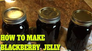 BLACKBERRY JELLY  STEP BY STEP  EASY…DELICIOUS RECIPE [upl. by Fredenburg]