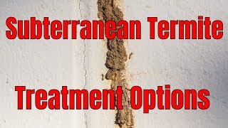 Subterranean Termite Control Treatment Options 🧐 Make the Right Choice for You [upl. by Letnom438]