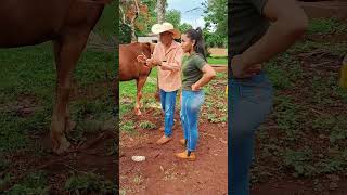 Deu certo fazenda roca vidanaroça sitio nature videoengraçado humor coisasderoca comedia [upl. by Magdalene]