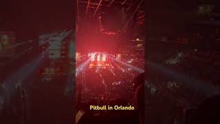 Pitbull Concert in Orlando FL pitbull concert orlandomusic shorts shortvideo [upl. by Ekoorb]