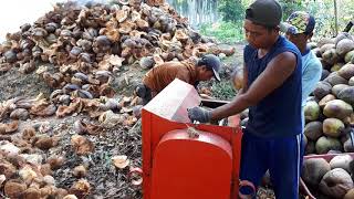 Mesin pengupas kelapa produksi jalur 5 banyuasin sumatera selatan [upl. by Molloy]