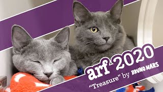 ARF  Treasure 2020 [upl. by Ycnaf]