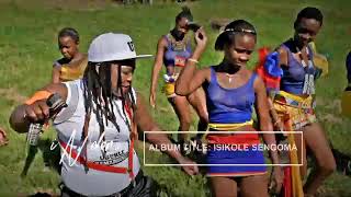 Indoni ft inkosi yamagcokama Maskandi CD 💿 promo 20213 [upl. by Mientao]