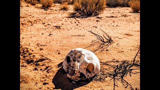 CEMENTERIO DE MIGRANTES CLANDESTINOS IMPERIAL SAND DUNES Desierto de SonoraUSA [upl. by Kirtap]