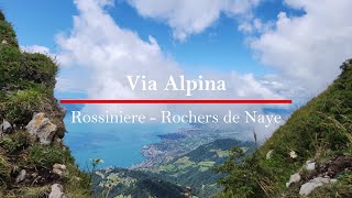 Hiking the Via Alpina19Rossiniere  Rochers de NayeSwitzerland 4k [upl. by Ydisac834]