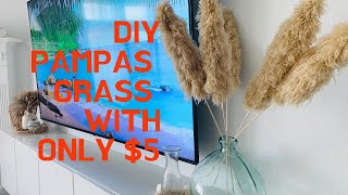 DIY Pampas Grass With Only 5 [upl. by Ellary]