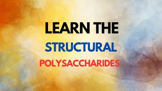 Learn The Structural Polysaccharides  Carbohydrates  Bio chemistry  Microbiology Biotechnology [upl. by Liarret]