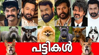 🐩🤯ഞെട്ടിപ്പോകും🙆‍♀️ നടന്മാരുടെ കോടികളുടെ പട്ടികളെ കണ്ടാൽ 🤯 💰TOP 10 LUXURY DOGS of Malayalam Actors🐩🤯 [upl. by Denzil]