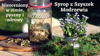 Syrop z Szyszek Modrzewiazdrowie [upl. by Gussi146]