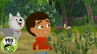 Through the Woods  Hiya Butterfly  PBS KIDS [upl. by Irb]