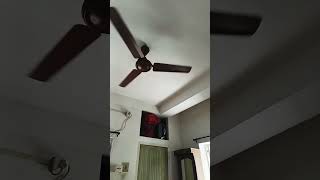 ceiling fan noise 😁 [upl. by Atteynek]