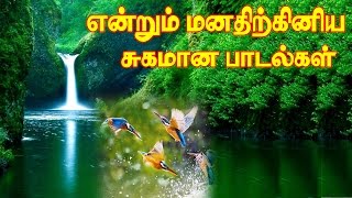 என்றும் இனிமையான மெலடி கானங்கள் Vol5 MP3Evergreen Tamil SongsIllayaraja Melody Hits Part5 [upl. by Eleahcim]